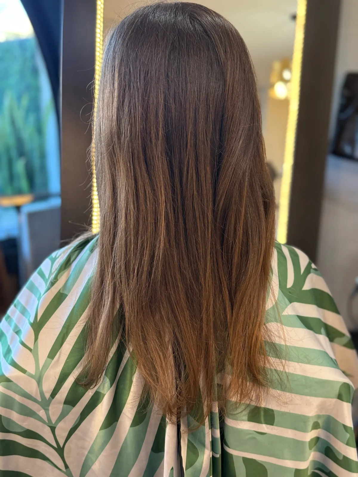 Before: brunette hair thinning toward the ends.